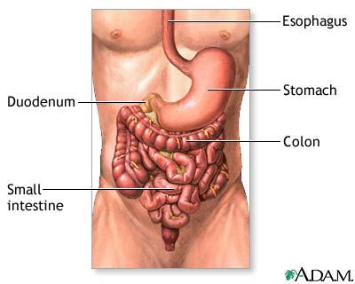 Toxinas Reação inflamatória