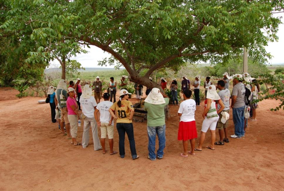 É uma Rede de Organizações Ecoprodutivas que coletam, cultivam, criam e beneficiam