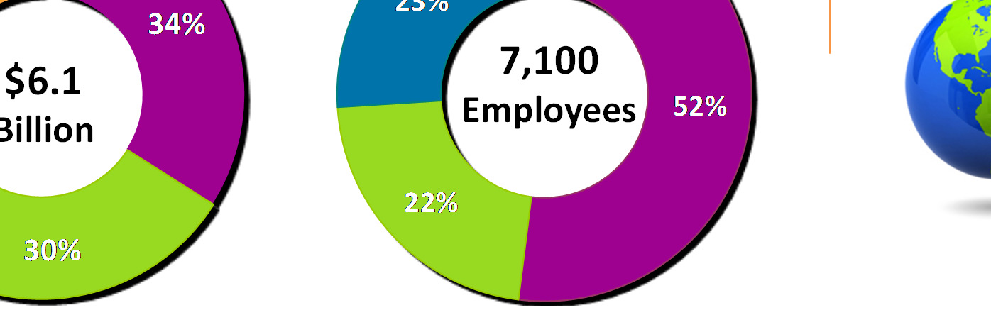 A Balanced International Presence Consolidated Revenues Worldwide Employees We