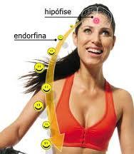 Endorfina É um analgésico natural Produzida pela atividade física e pela relação sexual Regula a emoção e a percepção