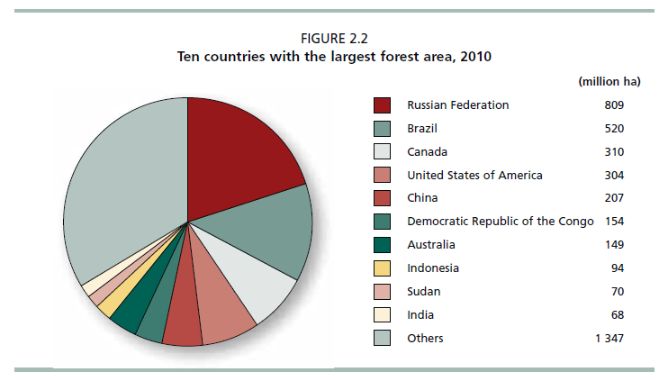 florestas do mundo 56%