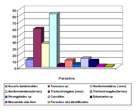 Fonte: ROCHA, 2007. Demonstração do perfil parasitário encontrado na análise do solo arenoso das praias do município de Santos, coletada no período de maio de 2004 a abril de 2005.