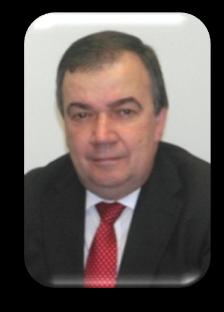 Comissão Executiva Presidente: Vice-Presidente: Vogal: - Dr. Gualter José Andrade Furtado - Dr. António Manuel da Silva Nogueira Rodrigues - Dr.
