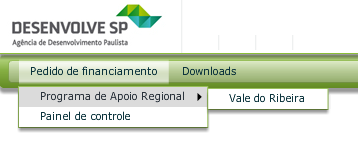 4. INCLUSÃO DE PEDIDO DE FINANCIAMENTO O menu é composto por três opções: Análise Prévia/Capital de Giro, Carta Consulta/Investimento e Painel de Controle :