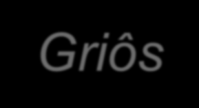 A África Negra Os grupos mais importantes são: (grupo majoritário); Nilóticos (região do Alto Nilo); Pigmeus (Floresta do Congo); Bosquímanos (Deserto de Kalahari).