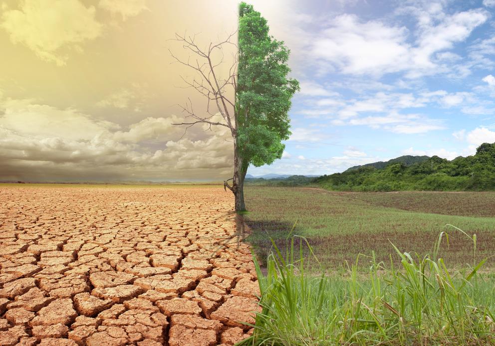 Mudanças na matriz elétrica brasileira A entrada das energias renováveis I.