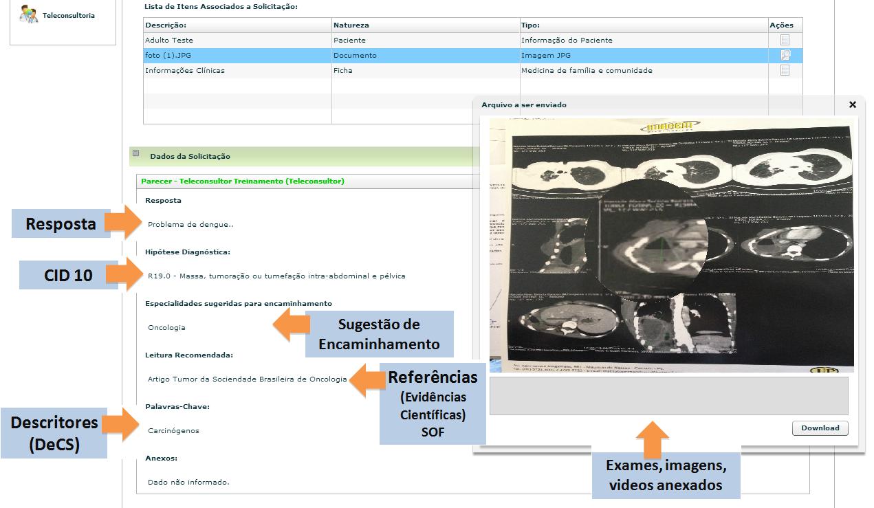 38 Acessando a Plataforma de Telessaúde HealthNet Então o solicitante poderá ver a resposta