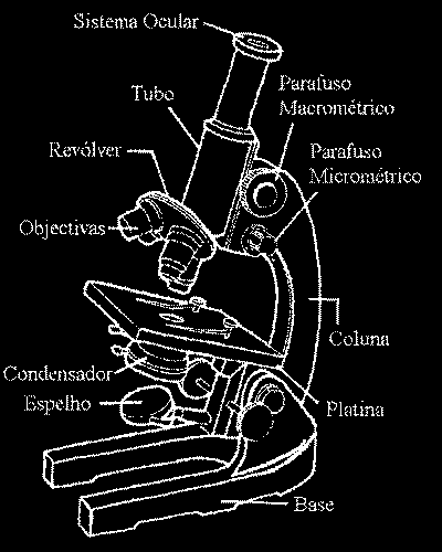 Microscópio Óptico Apresenta uma parte mecânica (serve de suporte)
