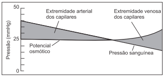 Projeto Universidade para Todos BIOLOGIA no Parque nacional de Yelowstone, nos Estados Unidos, até temperaturas abaixo de -80ºC, no interior da Antártida.