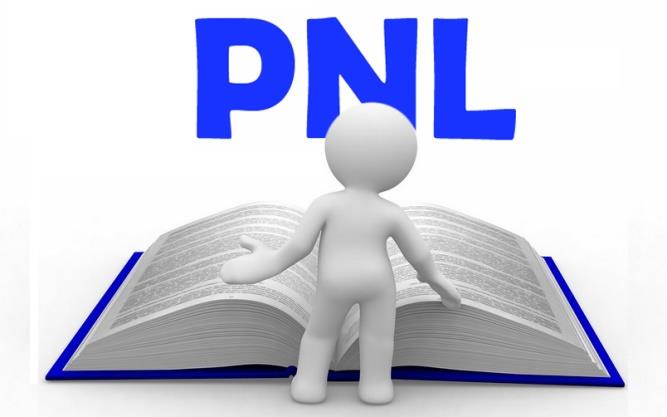 A PNL A PNL estuda como o cérebro funciona, como as pessoas aprendem, como se comunicam.