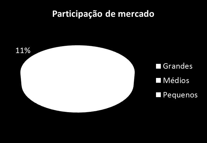 Qual é a representatividade dos provedores regionais?