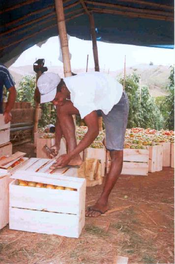 GALPÃO DE