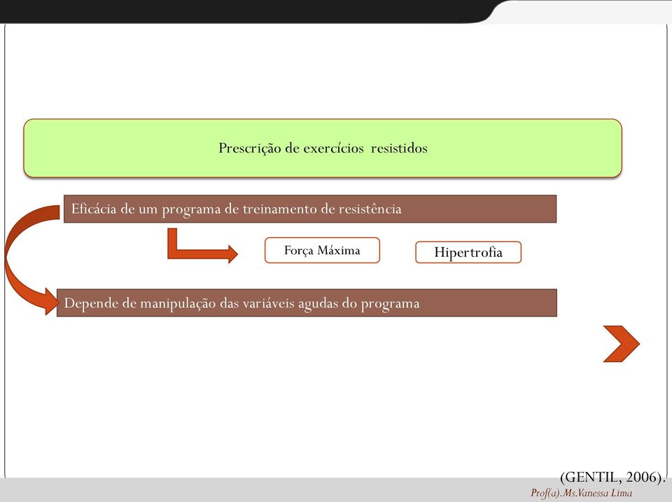 Força Máxima Hipertrofia Depende de