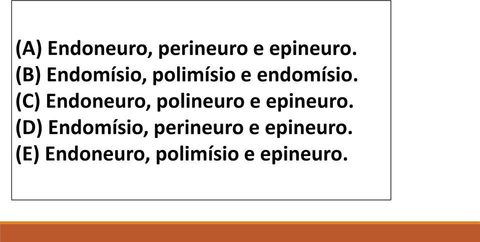 (C) Endoneuro, polineuro e epineuro.