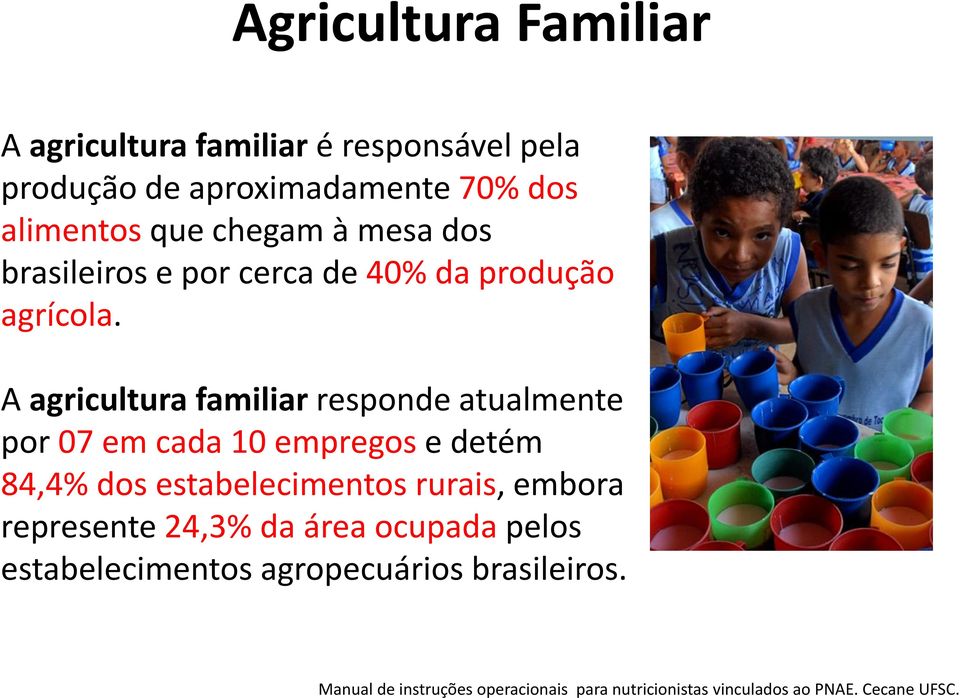 A agricultura familiar responde atualmente por 07 em cada 10 empregos e detém 84,4% dos estabelecimentos rurais,