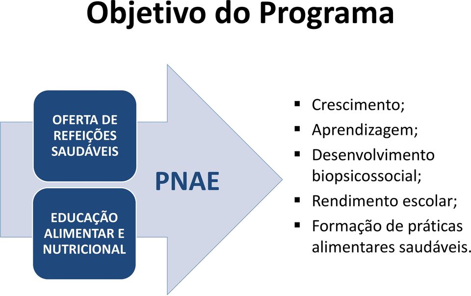 Aprendizagem; Desenvolvimento biopsicossocial;