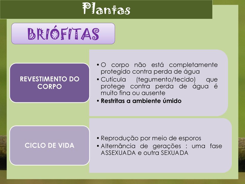 água é muito fina ou ausente Restritas a ambiente úmido CICLO DE VIDA