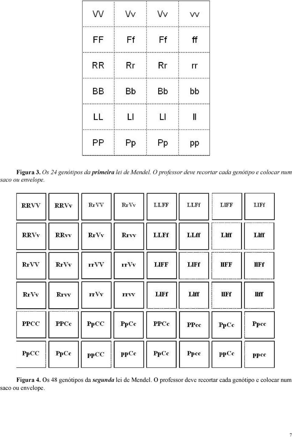 envelope. Figura 4. Os 48 genótipos da segunda lei de Mendel.