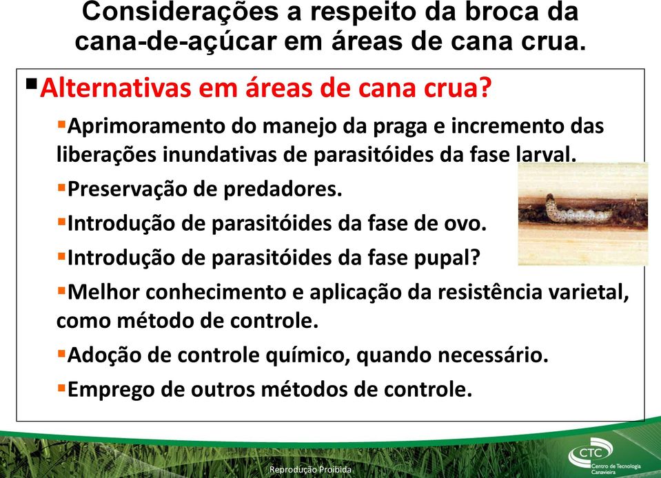 Preservação de predadores. Introdução de parasitóides da fase de ovo. Introdução de parasitóides da fase pupal?