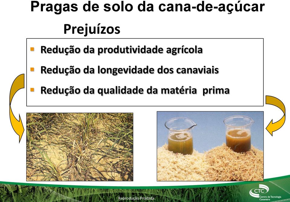 agrícola Redução da longevidade dos