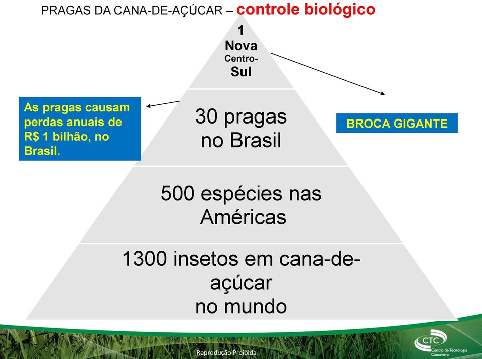 bilhão, no Brasil.