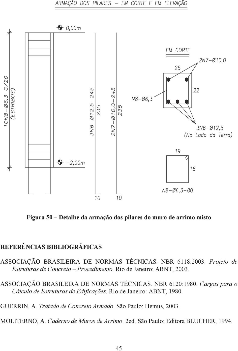 ASSOCIAÇÃO BRASILEIRA DE NORAS ÉCNICAS. NBR 61:198. Carga para o Cálculo e Etrutura e Eificaçõe.