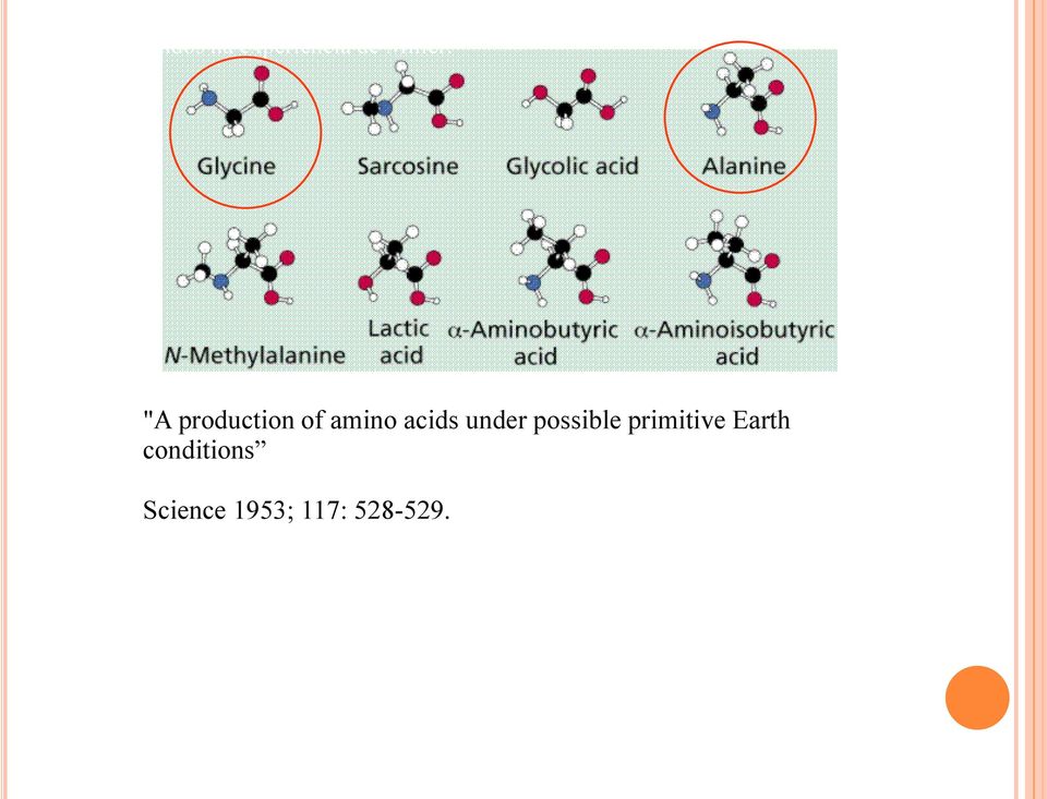 acids under possible primitive