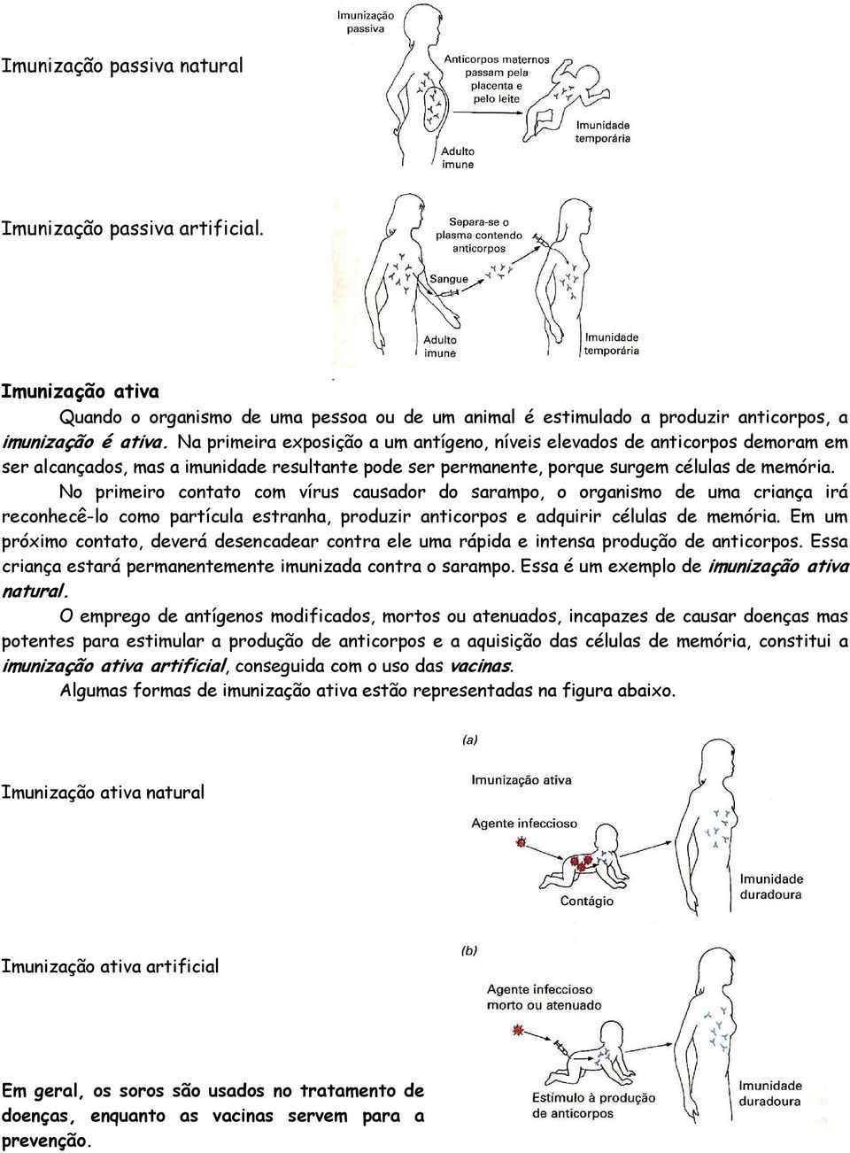 No primeiro contato com vírus causador do sarampo, o organismo de uma criança irá reconhecê-lo como partícula estranha, produzir anticorpos e adquirir células de memória.