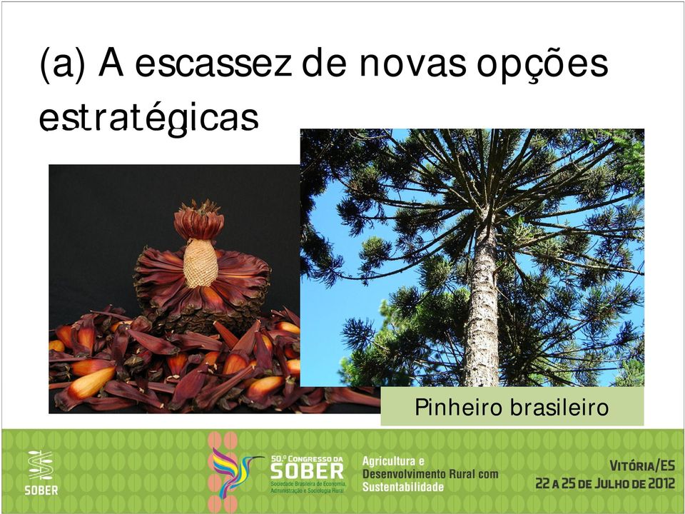 estratégicas