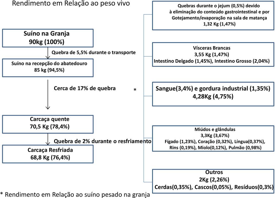 * Sangue(3,4%) e gordura industrial (1,35%) 4,28Kg (4,75%) Carcaça quente 70,5 Kg (78,4%) Quebra de 2% durante o resfriamento Carcaça Resfriada 68,8 Kg (76,4%) * Rendimento em Relação ao suíno