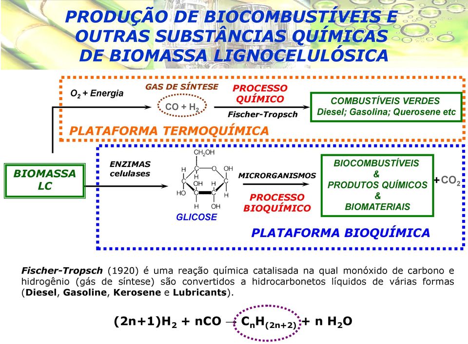 BIOCOMBUSTÍVEIS & PRODUTOS QUÍMICOS & BIOMATERIAIS PLATAFORMA BIOQUÍMICA + CO 2 Fischer-Tropsch (1920) é uma reação química catalisada na qual monóxido de