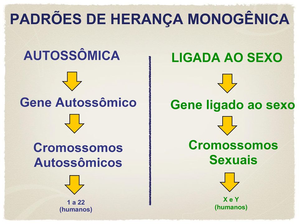 ligado ao sexo Cromossomos Autossômicos