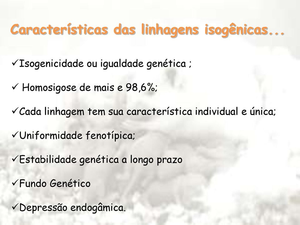 98,6%; Cada linhagem tem sua característica individual e única;