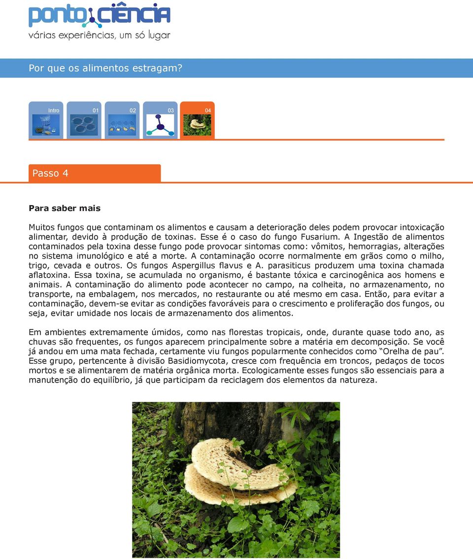 A contaminação ocorre normalmente em grãos como o milho, trigo, cevada e outros. Os fungos Aspergillus flavus e A. parasiticus produzem uma toxina chamada aflatoxina.