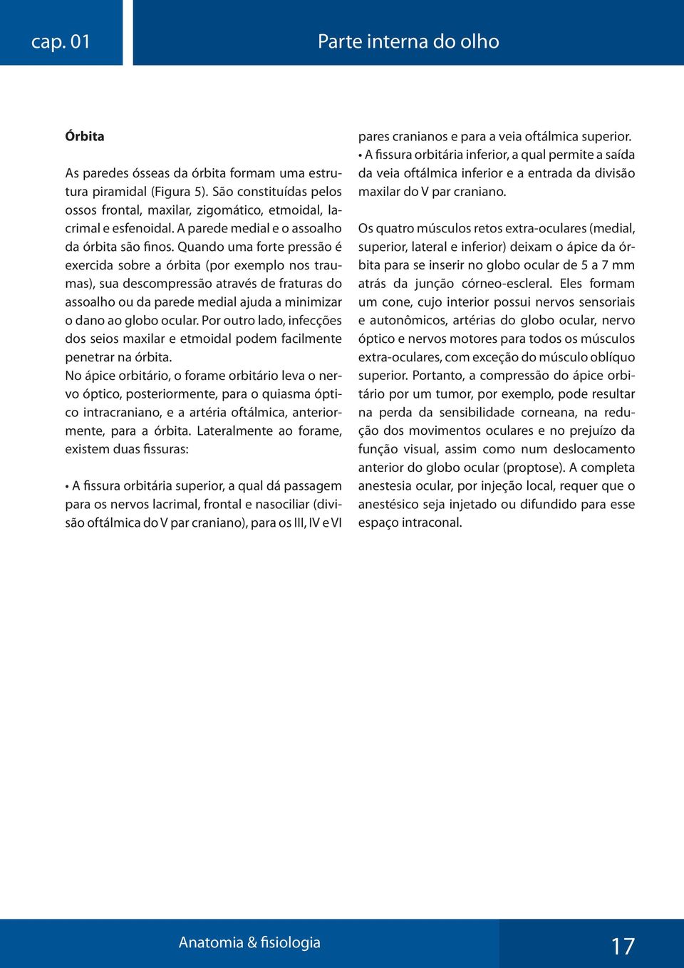 Quando uma forte pressão é exercida sobre a órbita (por exemplo nos traumas), sua descompressão através de fraturas do assoalho ou da parede medial ajuda a minimizar o dano ao globo ocular.