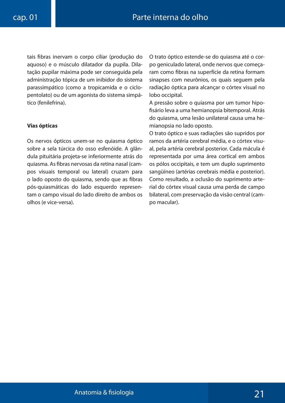 (fenilefrina). Vias ópticas Os nervos ópticos unem-se no quiasma óptico sobre a sela túrcica do osso esfenóide. A glândula pituitária projeta-se inferiormente atrás do quiasma.