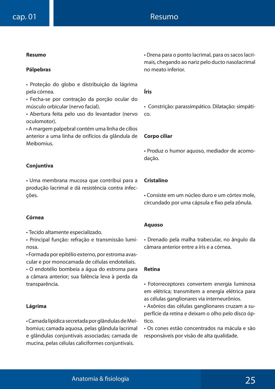 Conjuntiva Uma membrana mucosa que contribui para a produção lacrimal e dá resistência contra infecções. Córnea Tecido altamente especializado. Principal função: refração e transmissão luminosa.