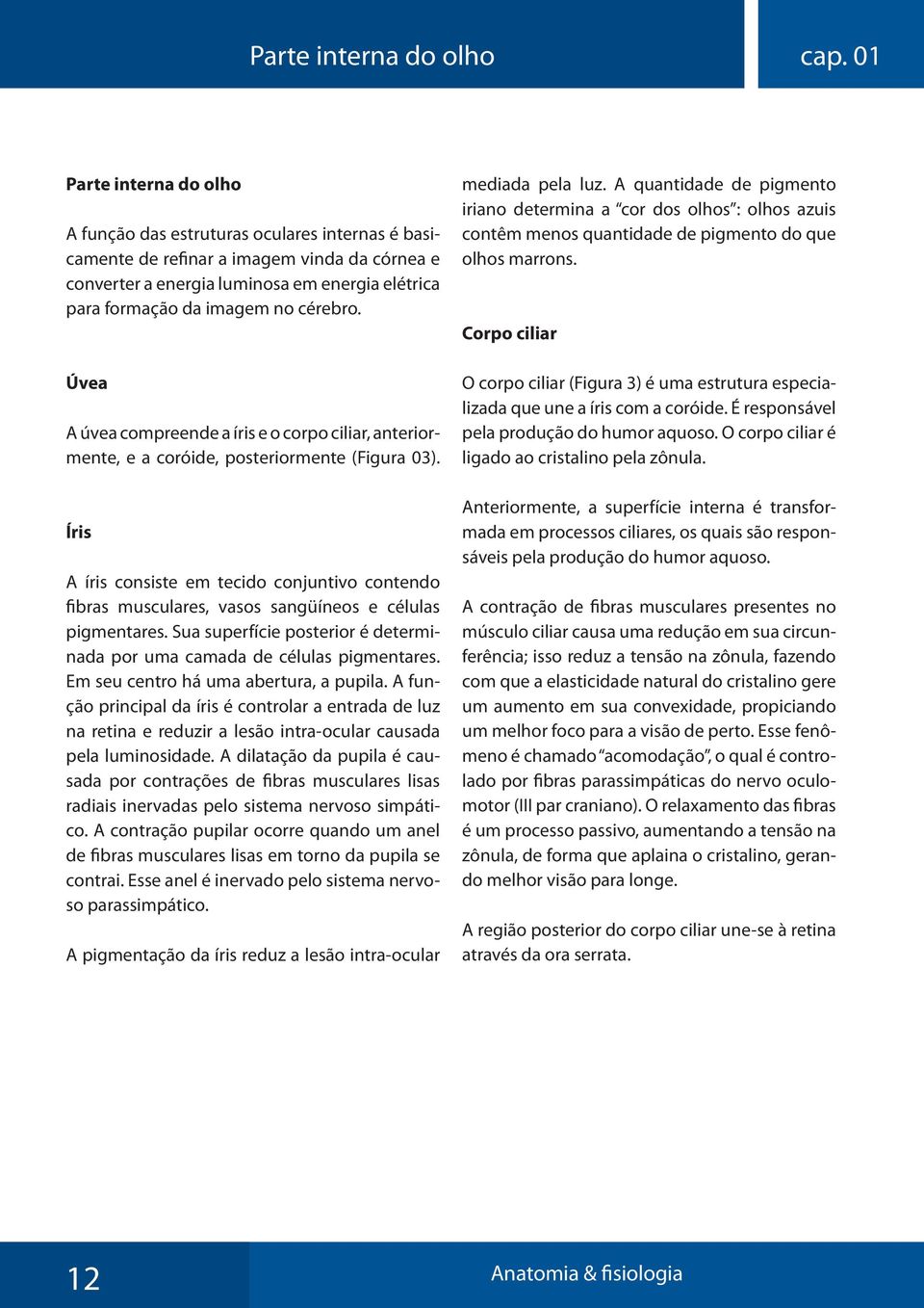 cérebro. Úvea A úvea compreende a íris e o corpo ciliar, anteriormente, e a coróide, posteriormente (Figura 03).