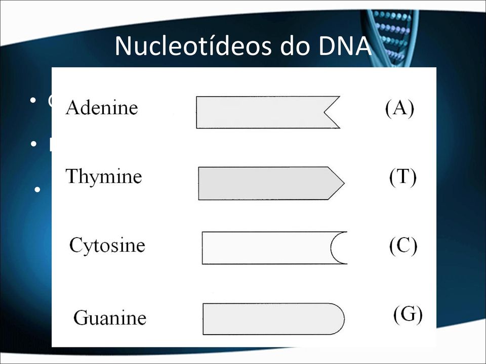 DNA: Desoxirribose.