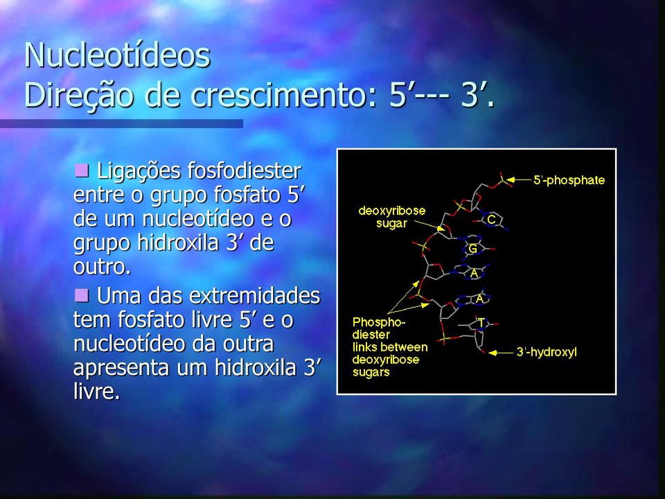 nucleotídeo e o grupo hidroxila 3 de outro.