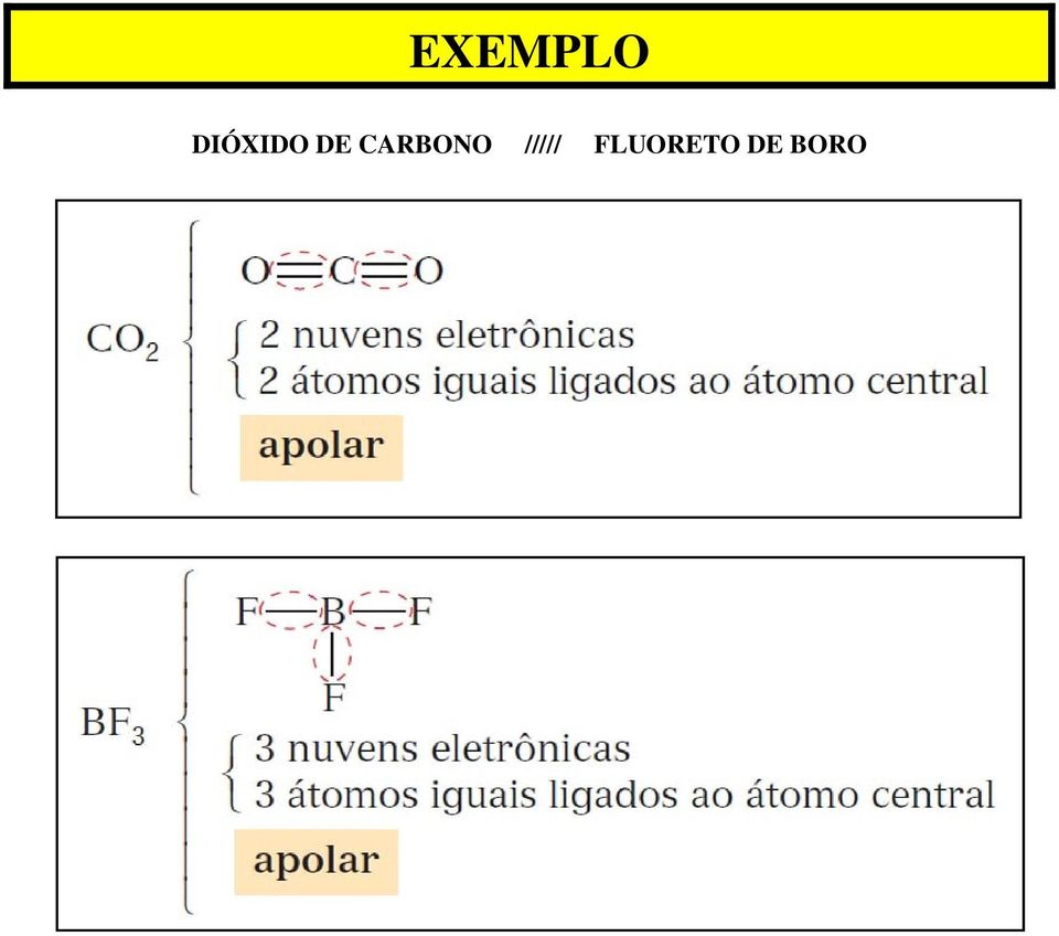 CARBONO