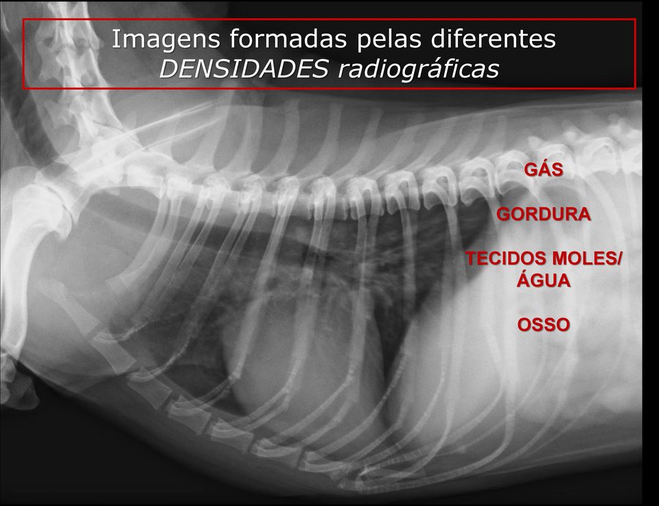 radiográficas GÁS