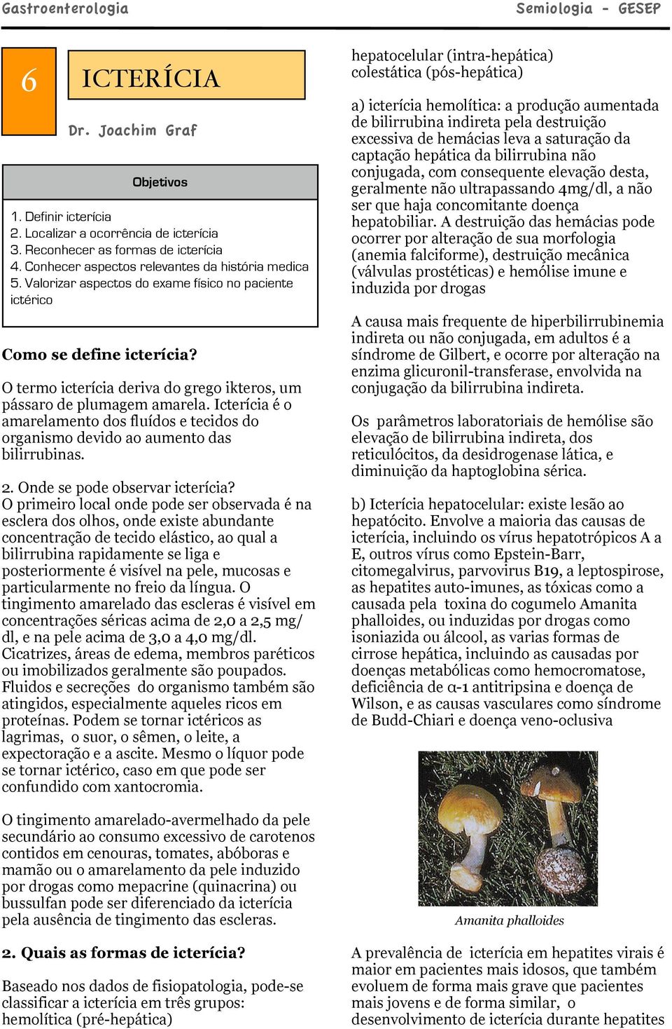 Icterícia é o amarelamento dos fluídos e tecidos do organismo devido ao aumento das bilirrubinas. 2. Onde se pode observar icterícia?