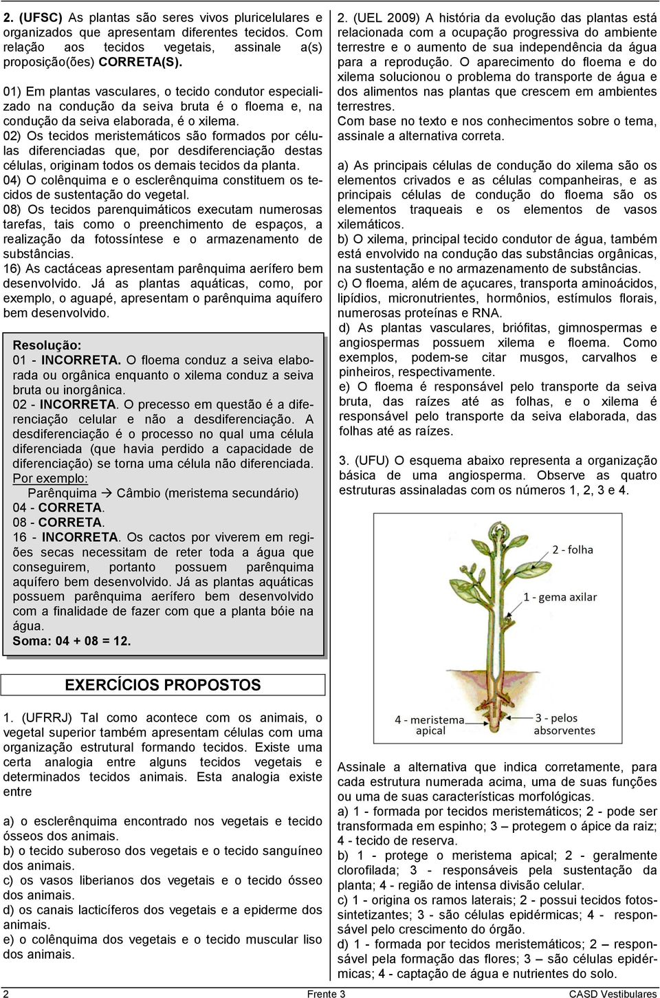 02) Os tecidos meristemáticos são formados por células diferenciadas que, por desdiferenciação destas células, originam todos os demais tecidos da planta.