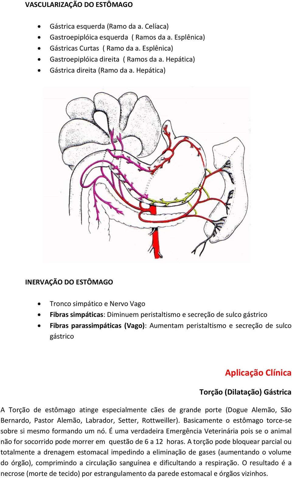 Hepática) INERVAÇÃO DO ESTÔMAGO Tronco simpático e Nervo Vago Fibras simpáticas: Diminuem peristaltismo e secreção de sulco gástrico Fibras parassimpáticas (Vago): Aumentam peristaltismo e secreção