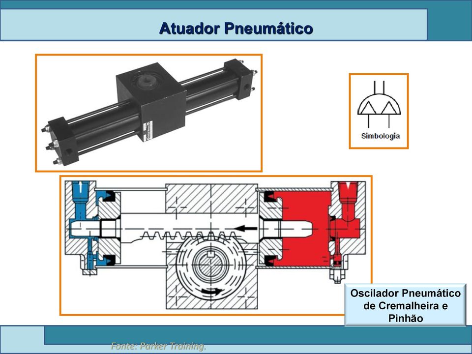 Pneumático de