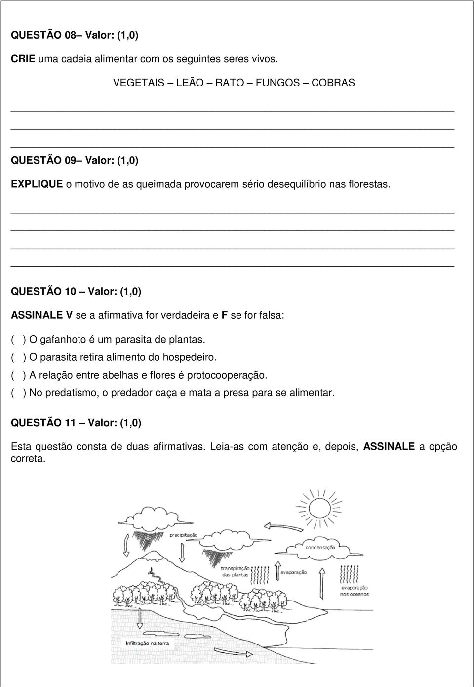 QUESTÃO 10 Valor: (1,0) ASSINALE V se a afirmativa for verdadeira e F se for falsa: ( ) O gafanhoto é um parasita de plantas.