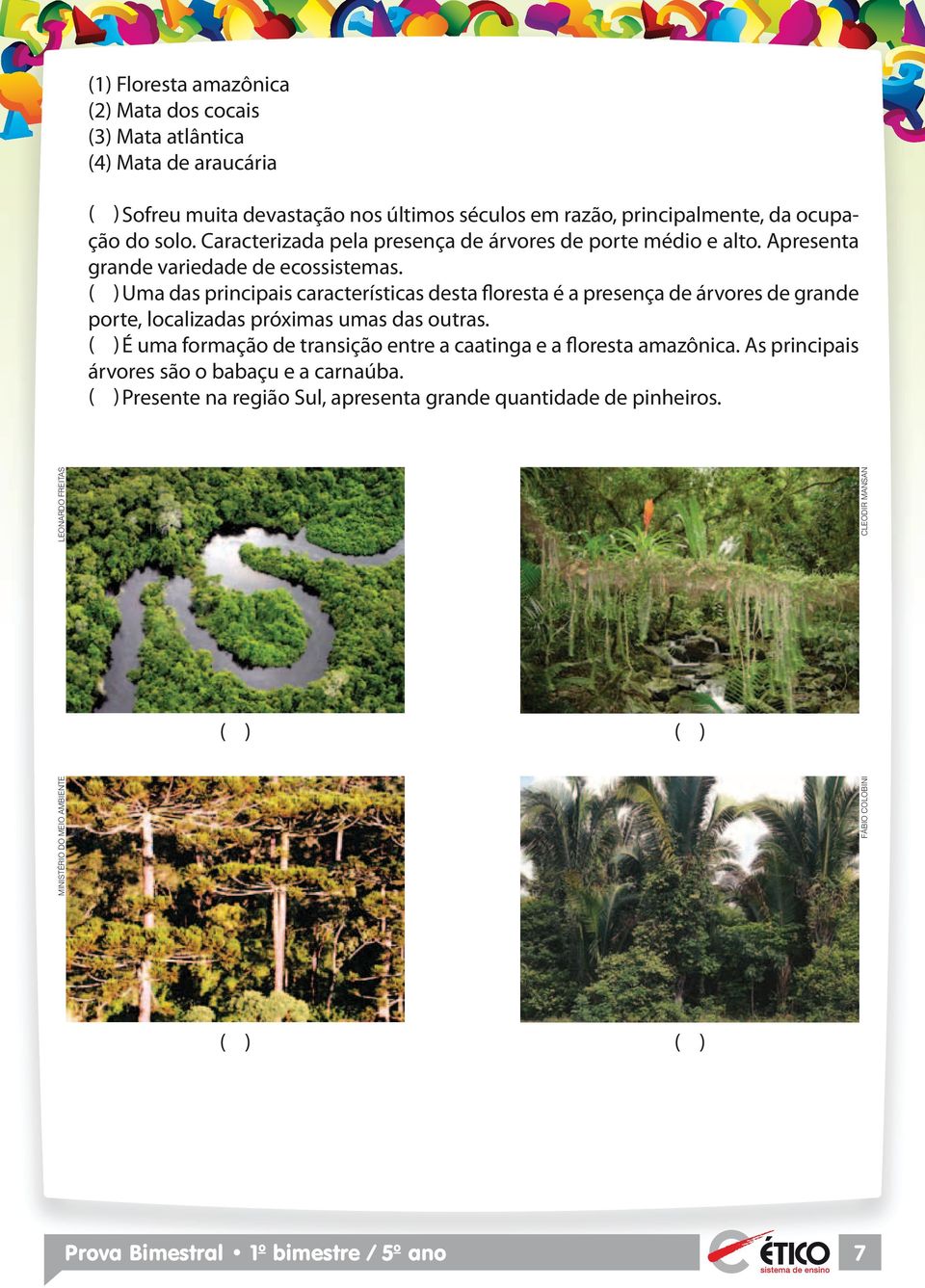 ( ) ma das principais características desta floresta é a presença de árvores de grande porte, localizadas próximas umas das outras.