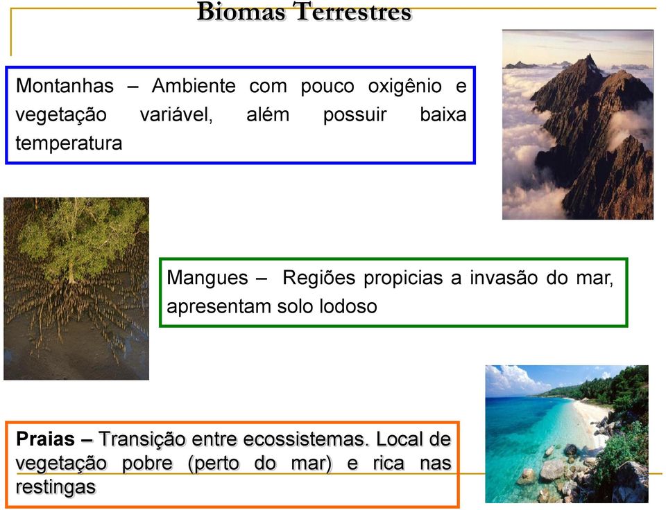 lodoso Regiões propicias a invasão do mar, Praias Transição entre