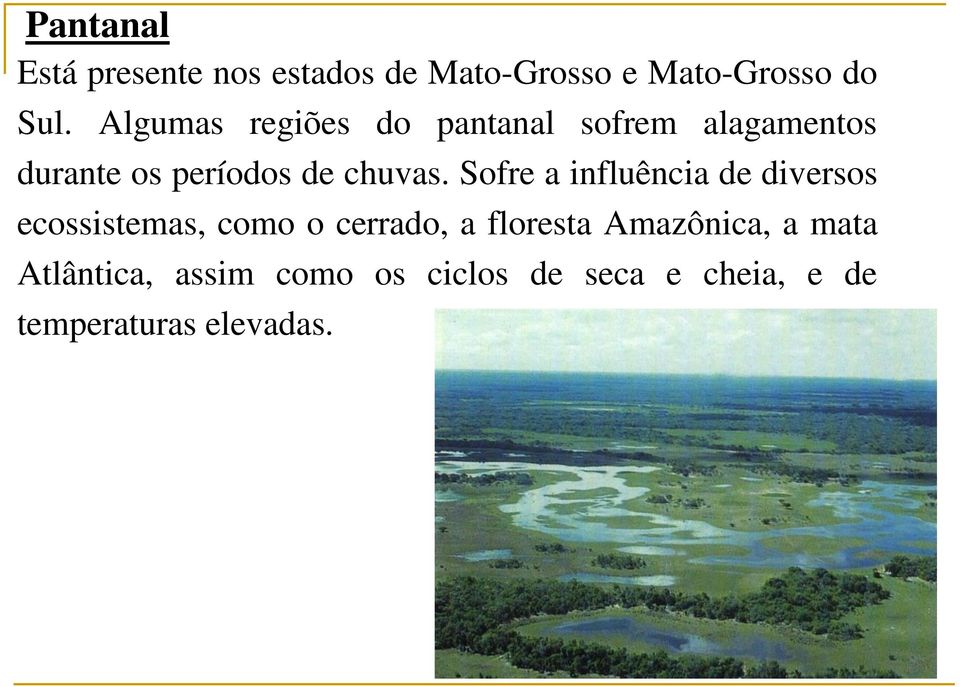 Sofre a influência de diversos ecossistemas, como o cerrado, a floresta